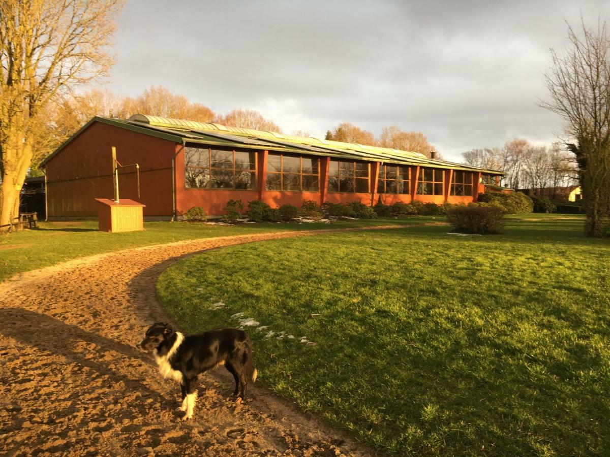 Huck'S Ferienhaeuser Borstel  Exterior foto